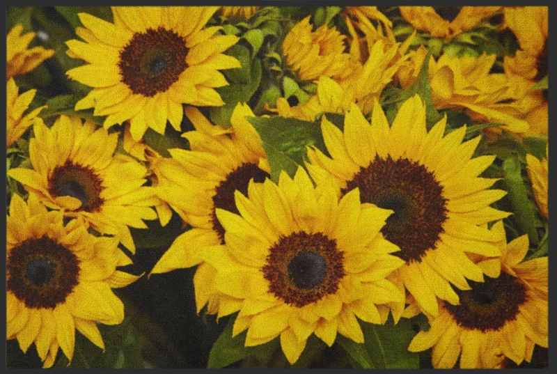 Sauberlaufmatte Sonnenblumen 4221