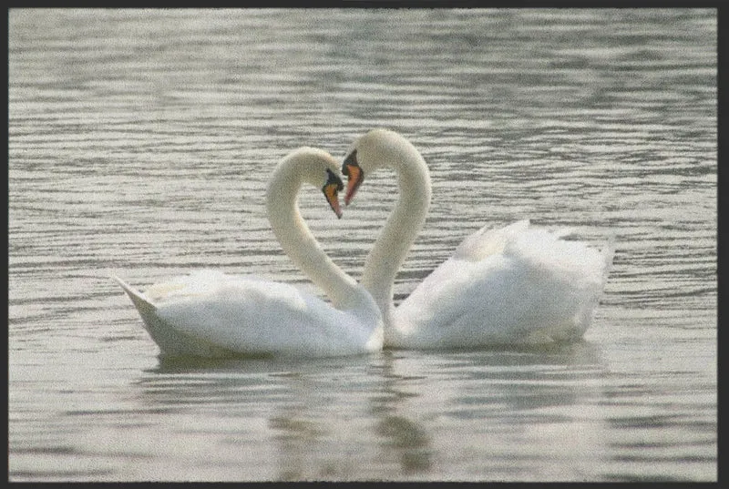 Sauberlaufmatte Schwan 4193