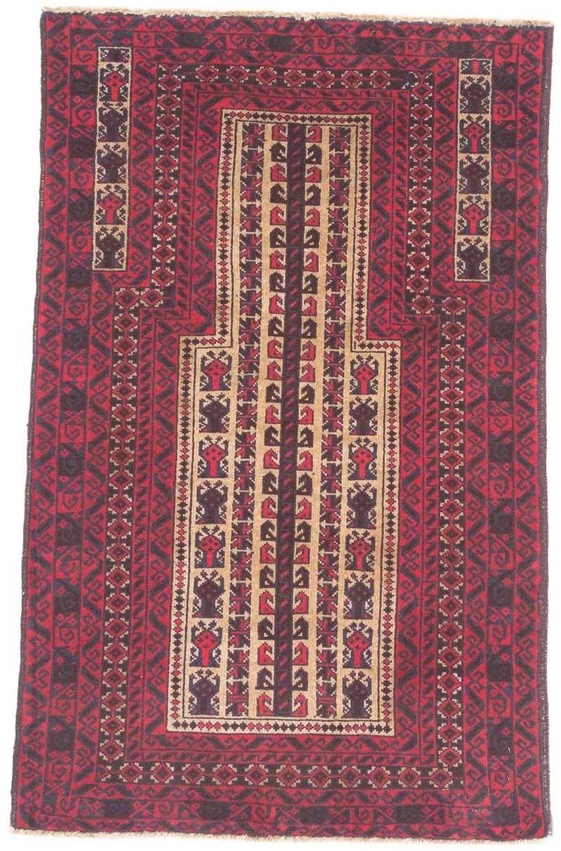 Baluch Afghan