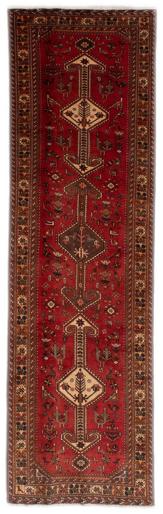 Shiraz Ghashgai