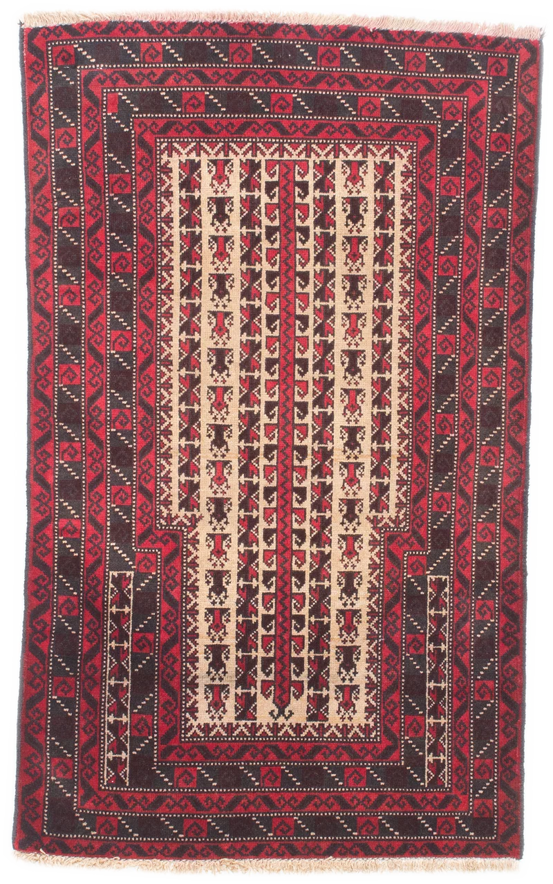 Oriental Belutsch