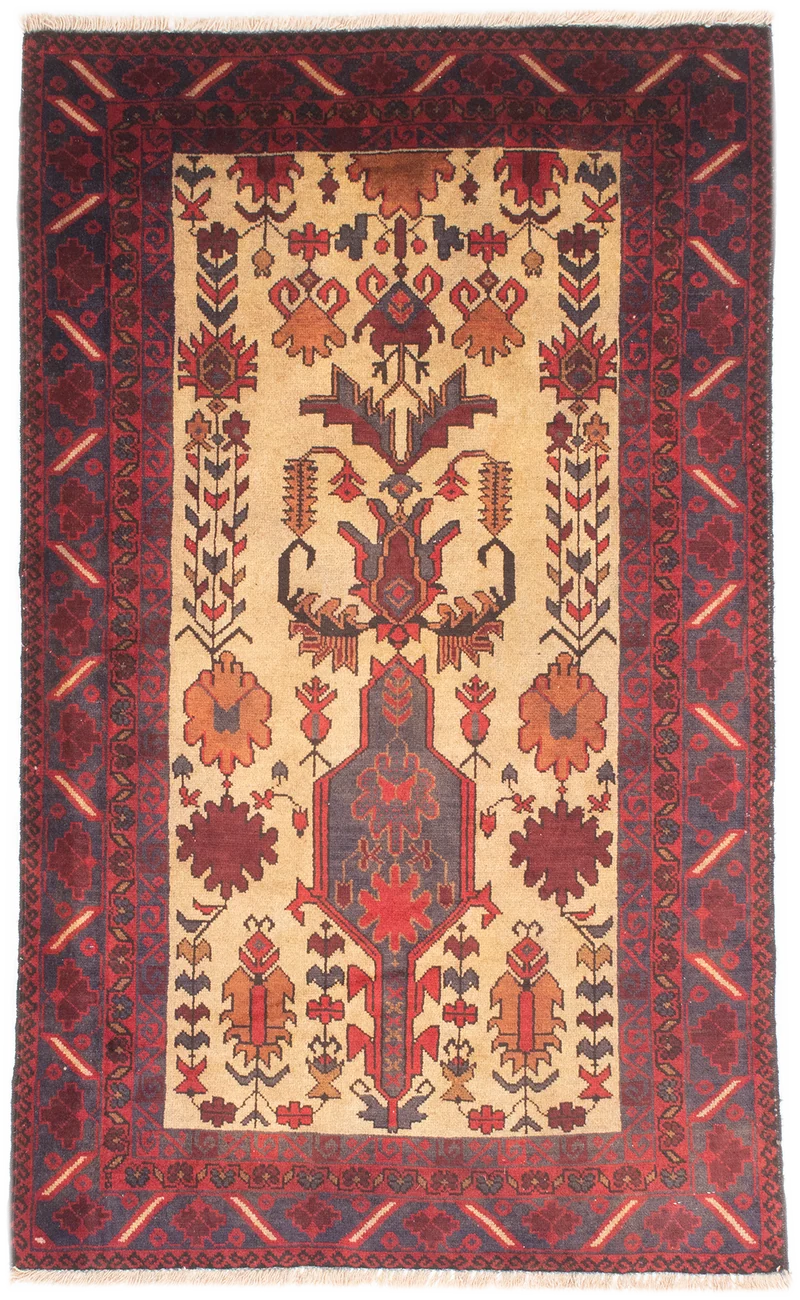 Oriental Belutsch