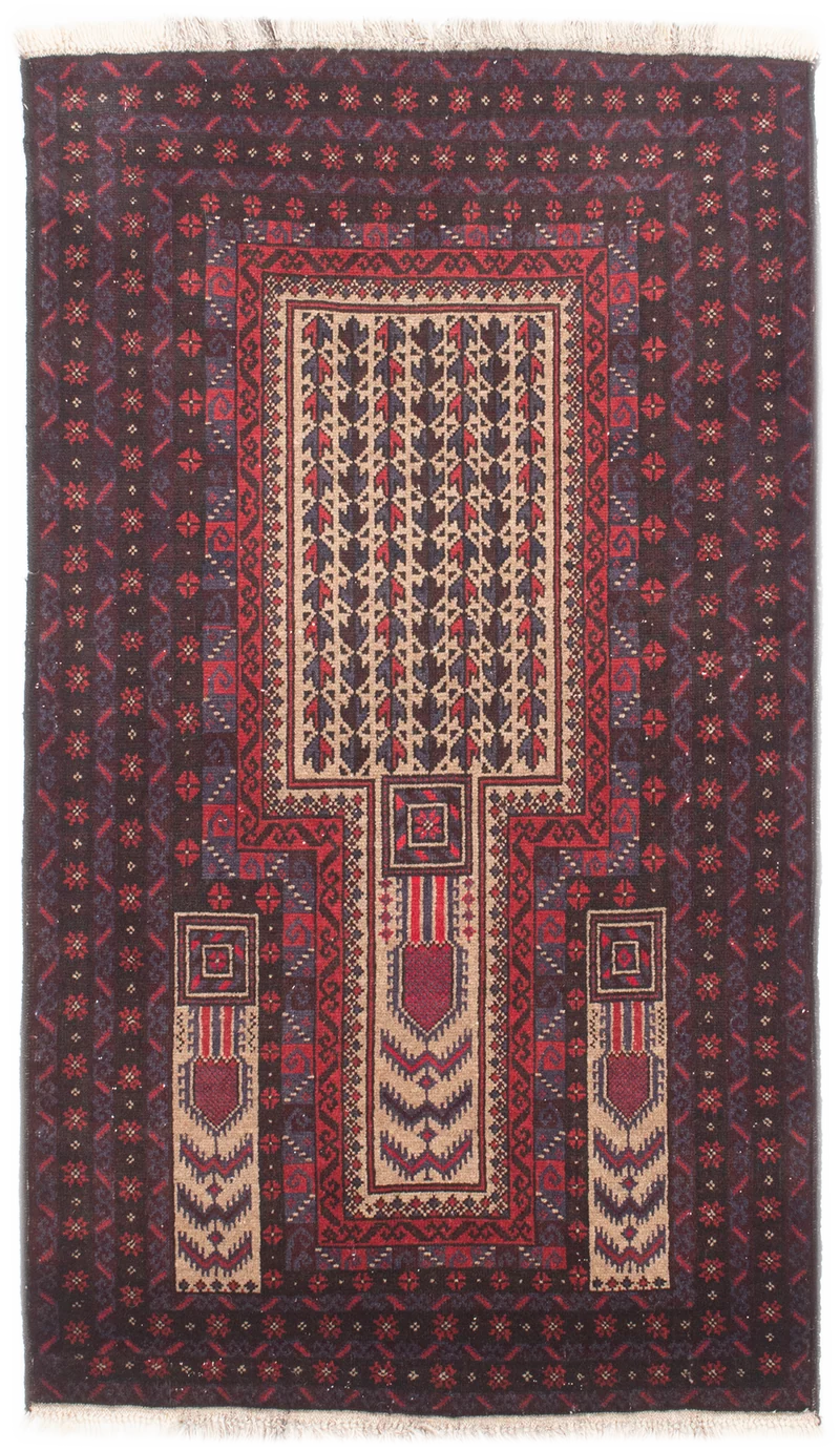 Oriental Belutsch