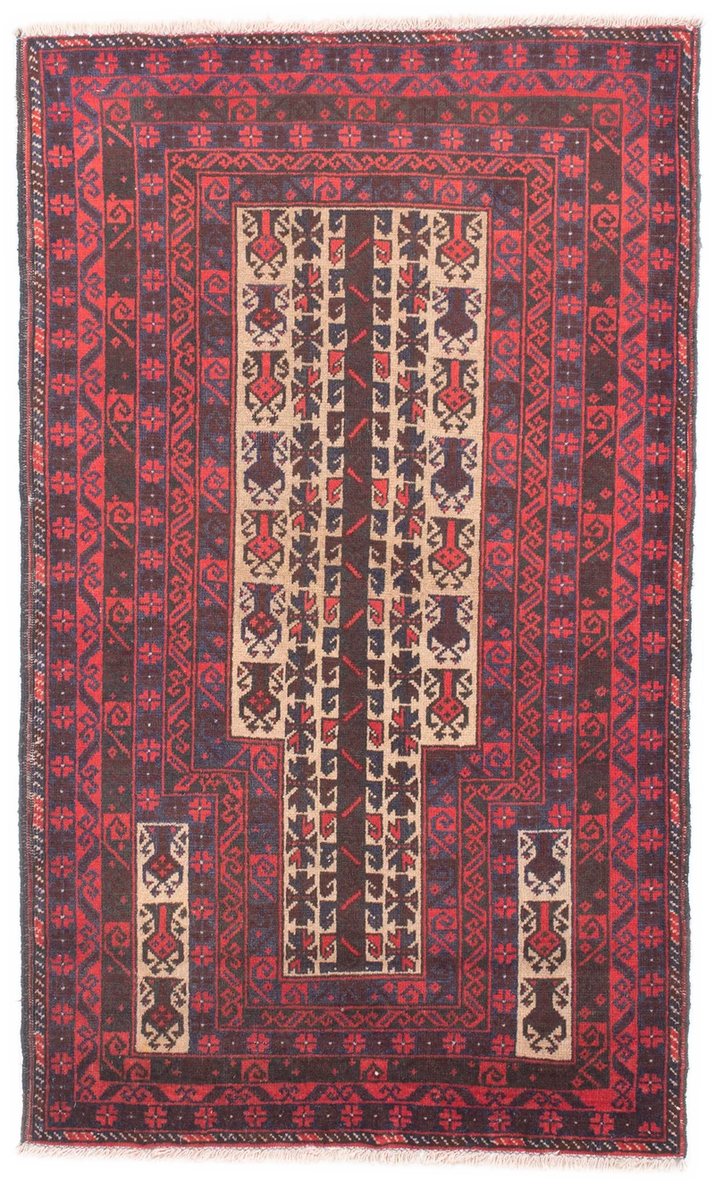 Oriental Belutsch