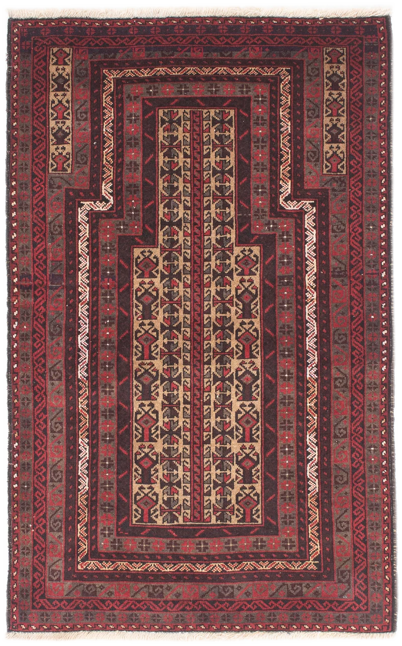 Oriental Belutsch