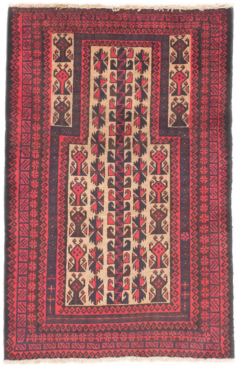 Oriental Belutsch