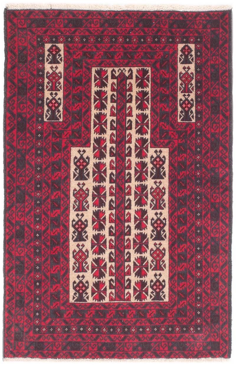 Oriental Belutsch