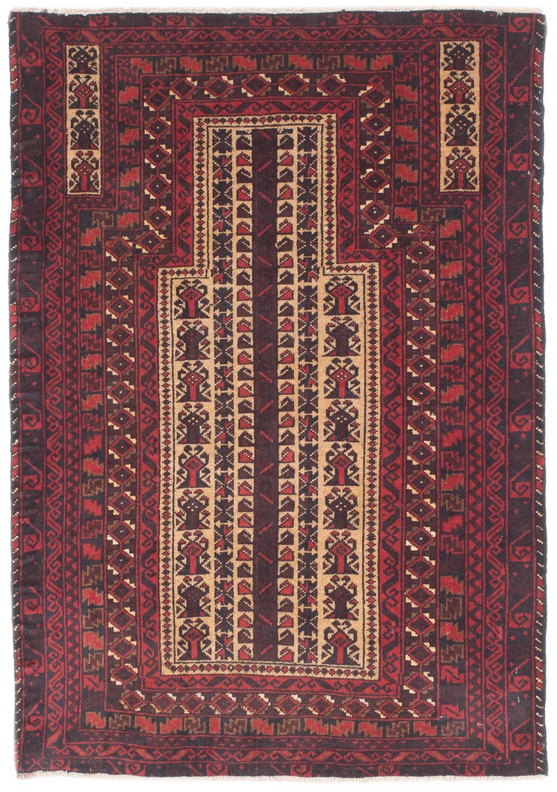 Oriental Belutsch