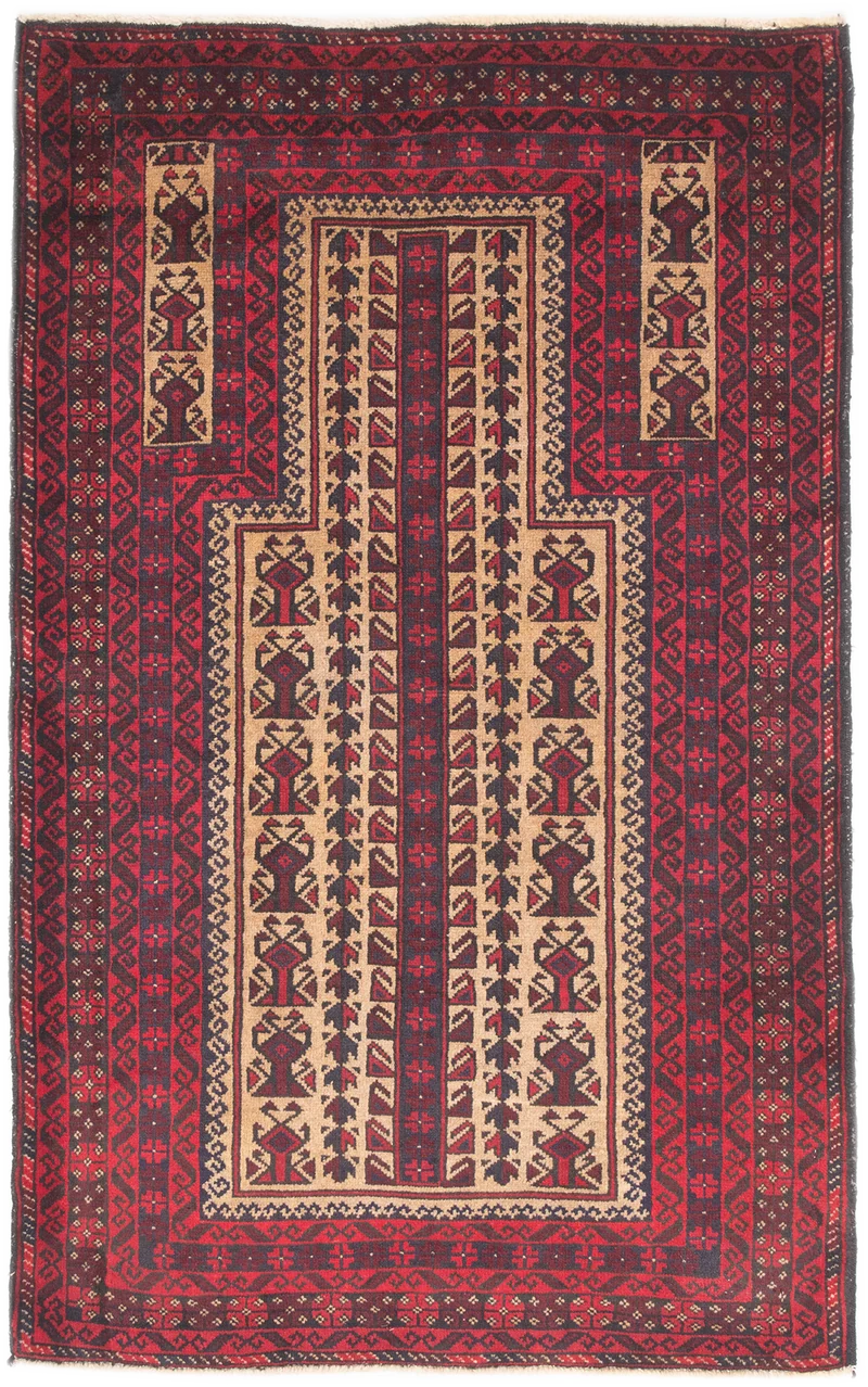 Oriental Belutsch