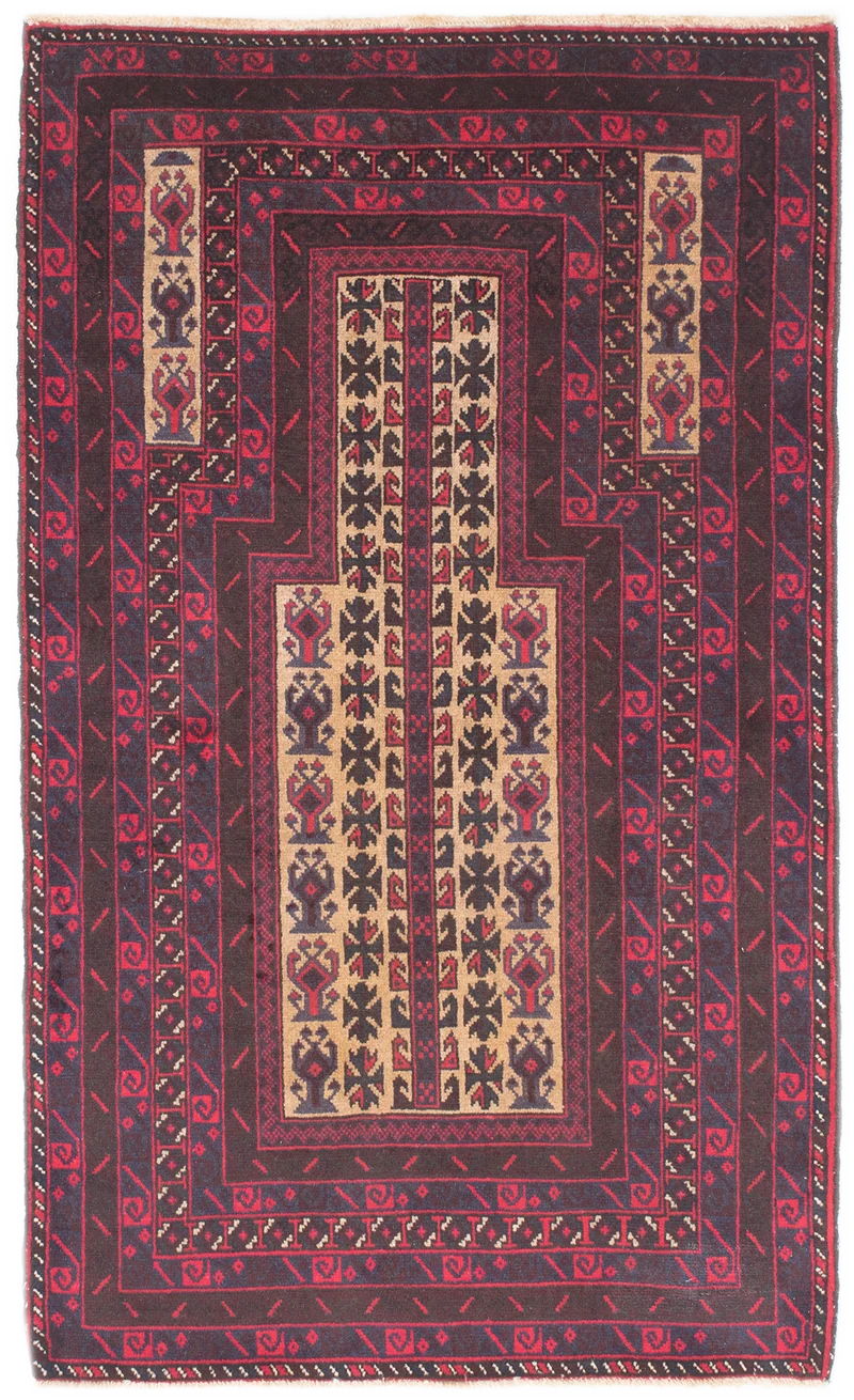Oriental Belutsch