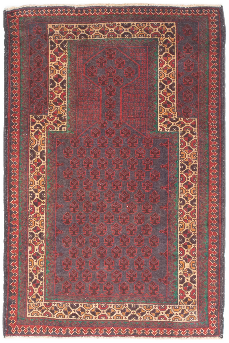 Oriental Belutsch