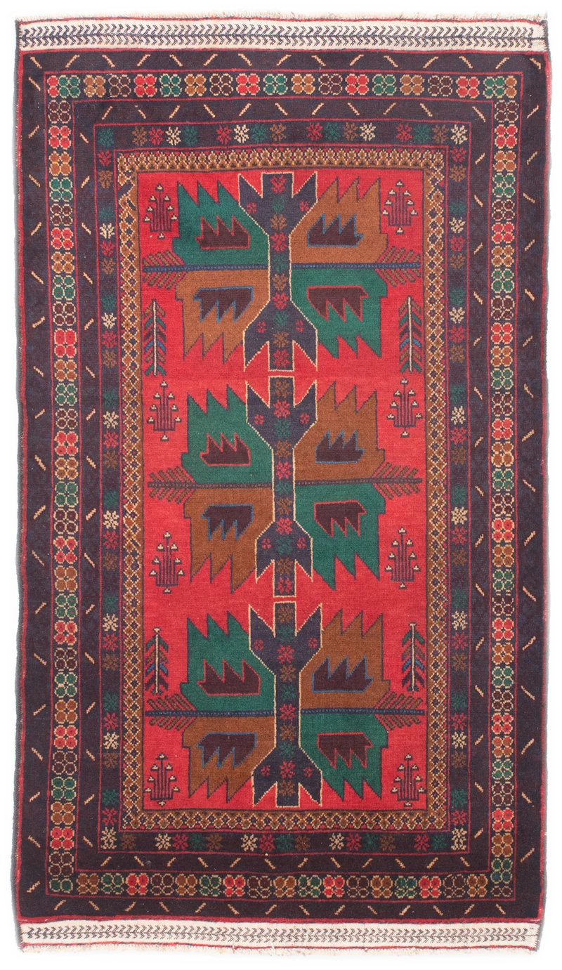 Oriental Belutsch