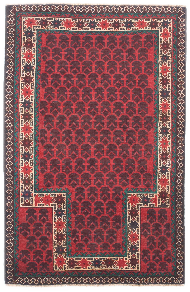 Oriental Belutsch