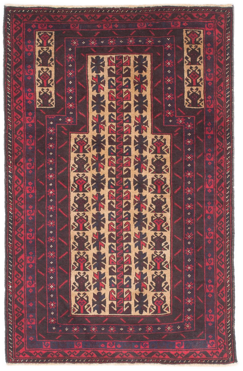 Oriental Belutsch