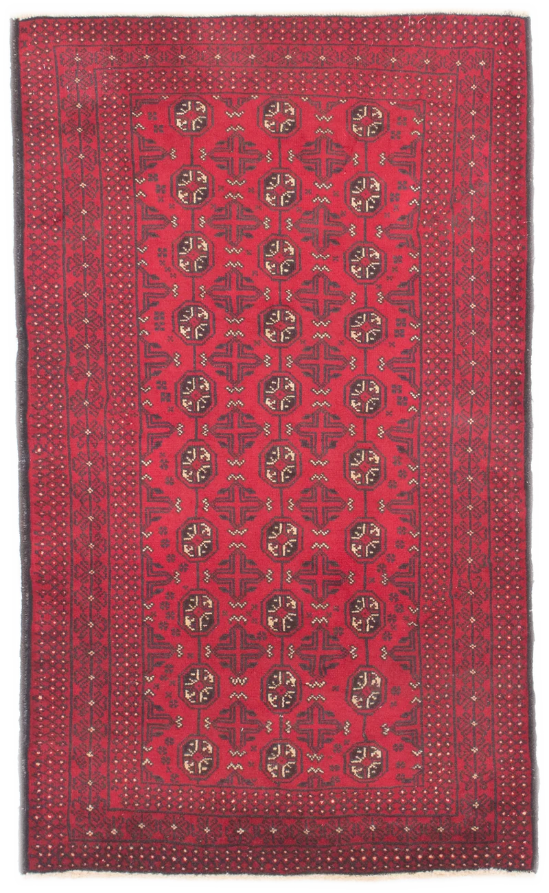 Oriental Belutsch