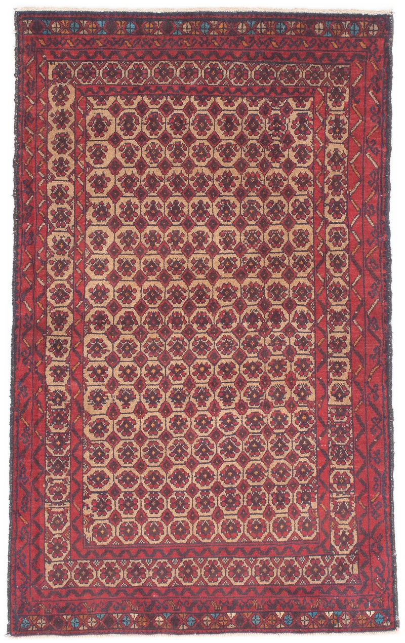 Oriental Belutsch