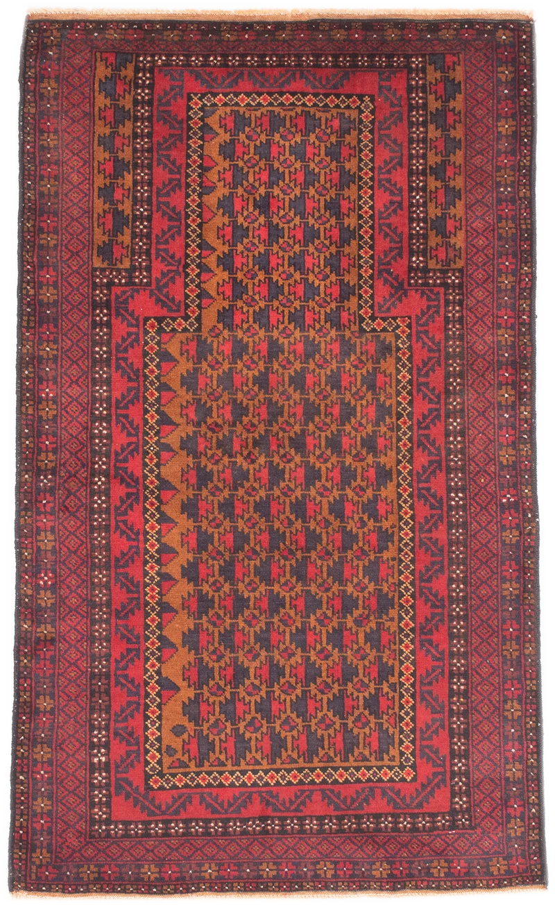 Oriental Belutsch