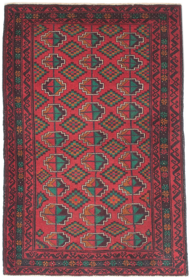 Oriental Belutsch
