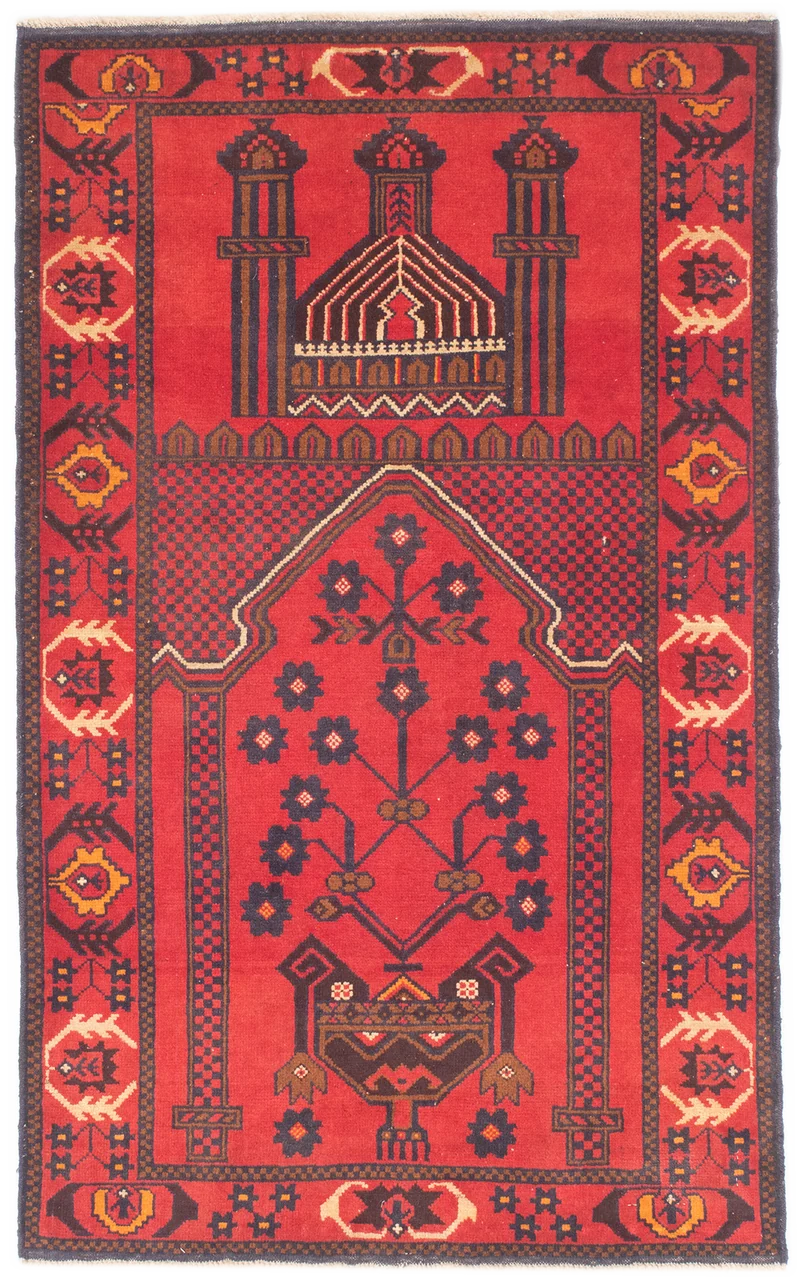 Oriental Belutsch