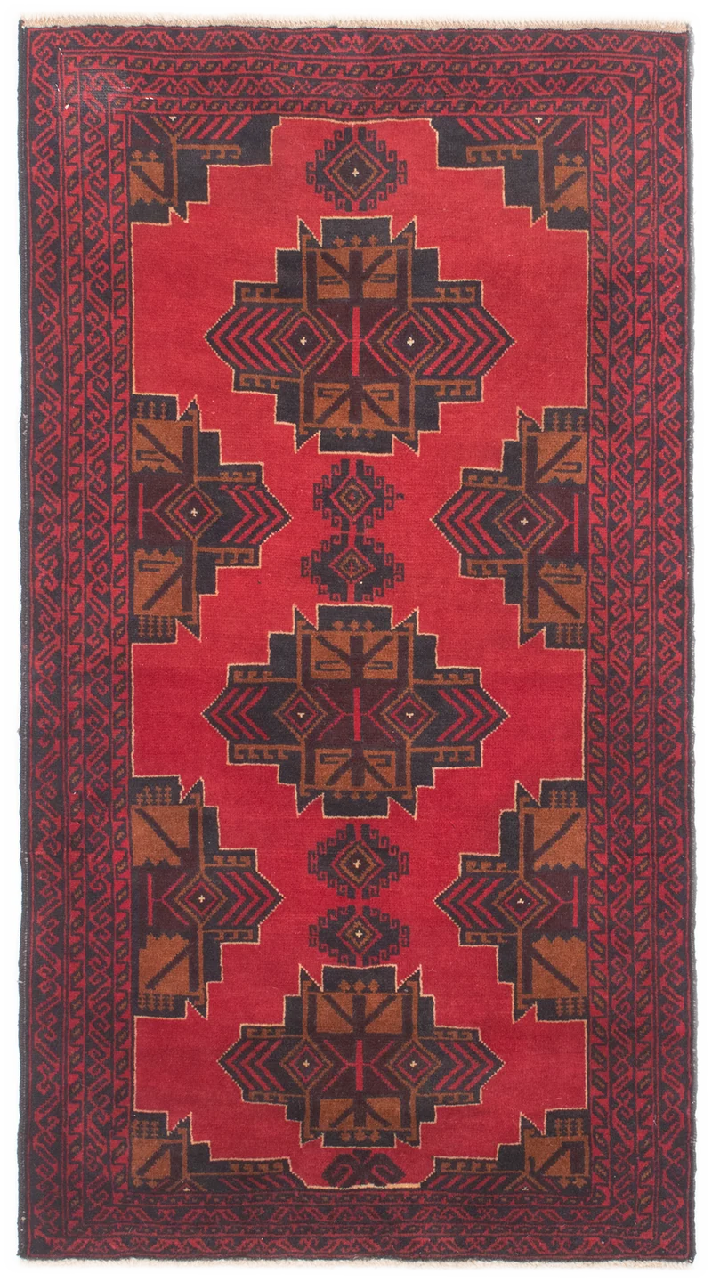 Oriental Belutsch
