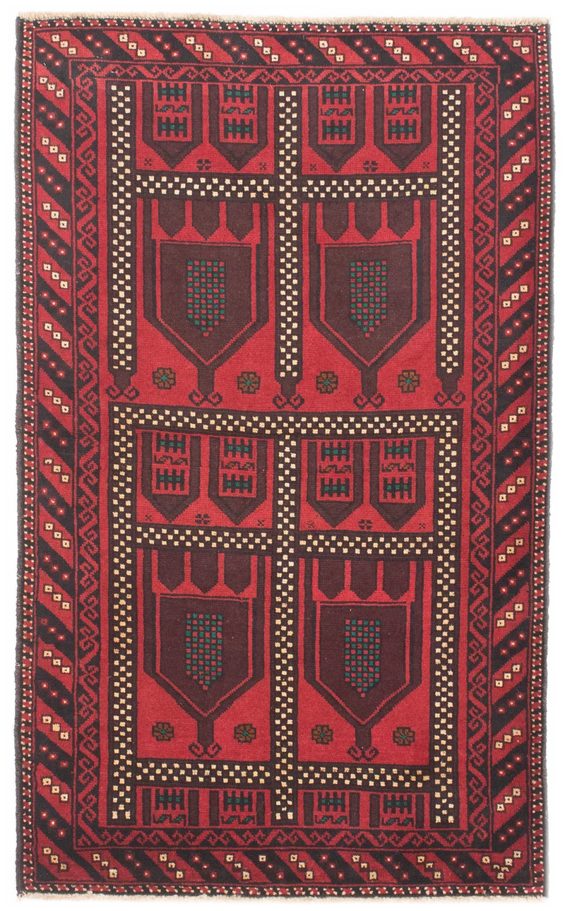 Oriental Belutsch