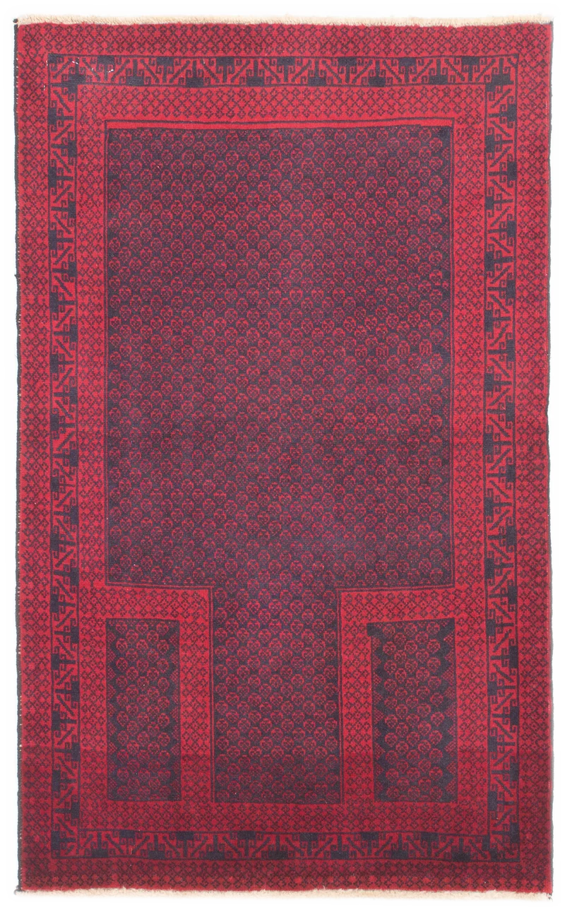 Oriental Belutsch