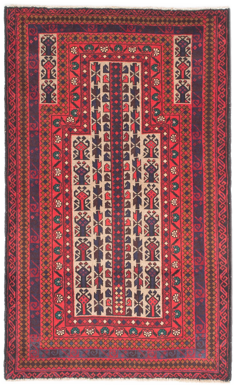 Oriental Belutsch
