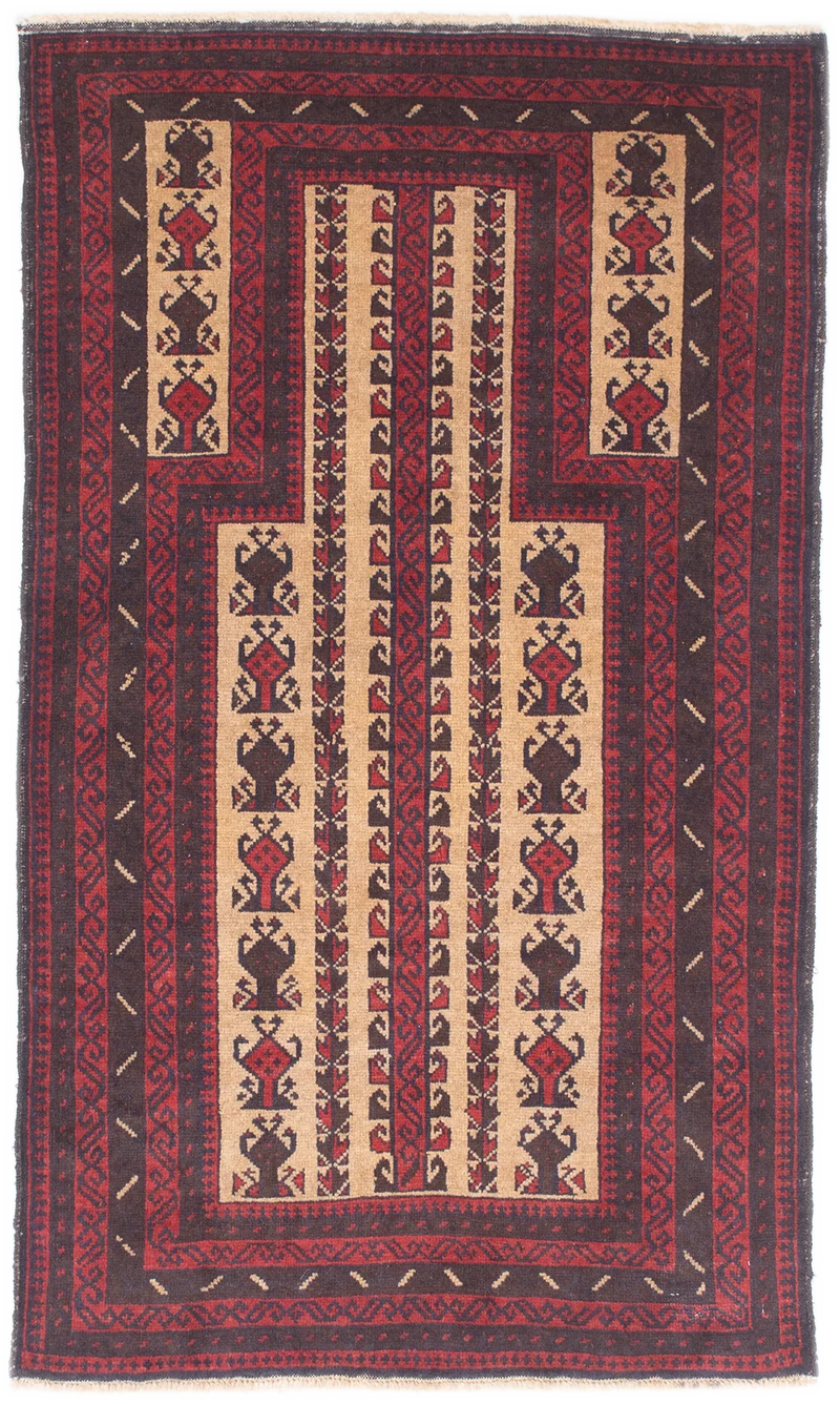Oriental Belutsch