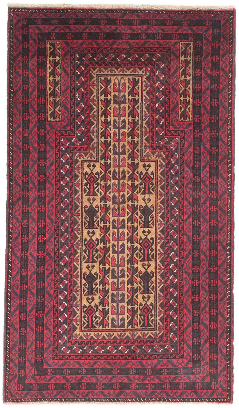 Oriental Belutsch