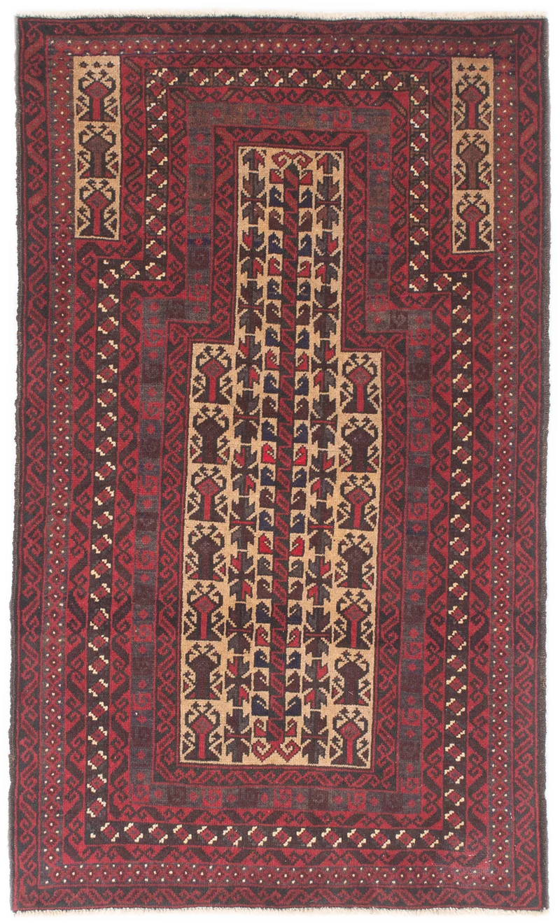 Oriental Belutsch
