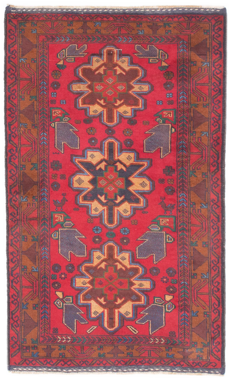 Oriental Belutsch