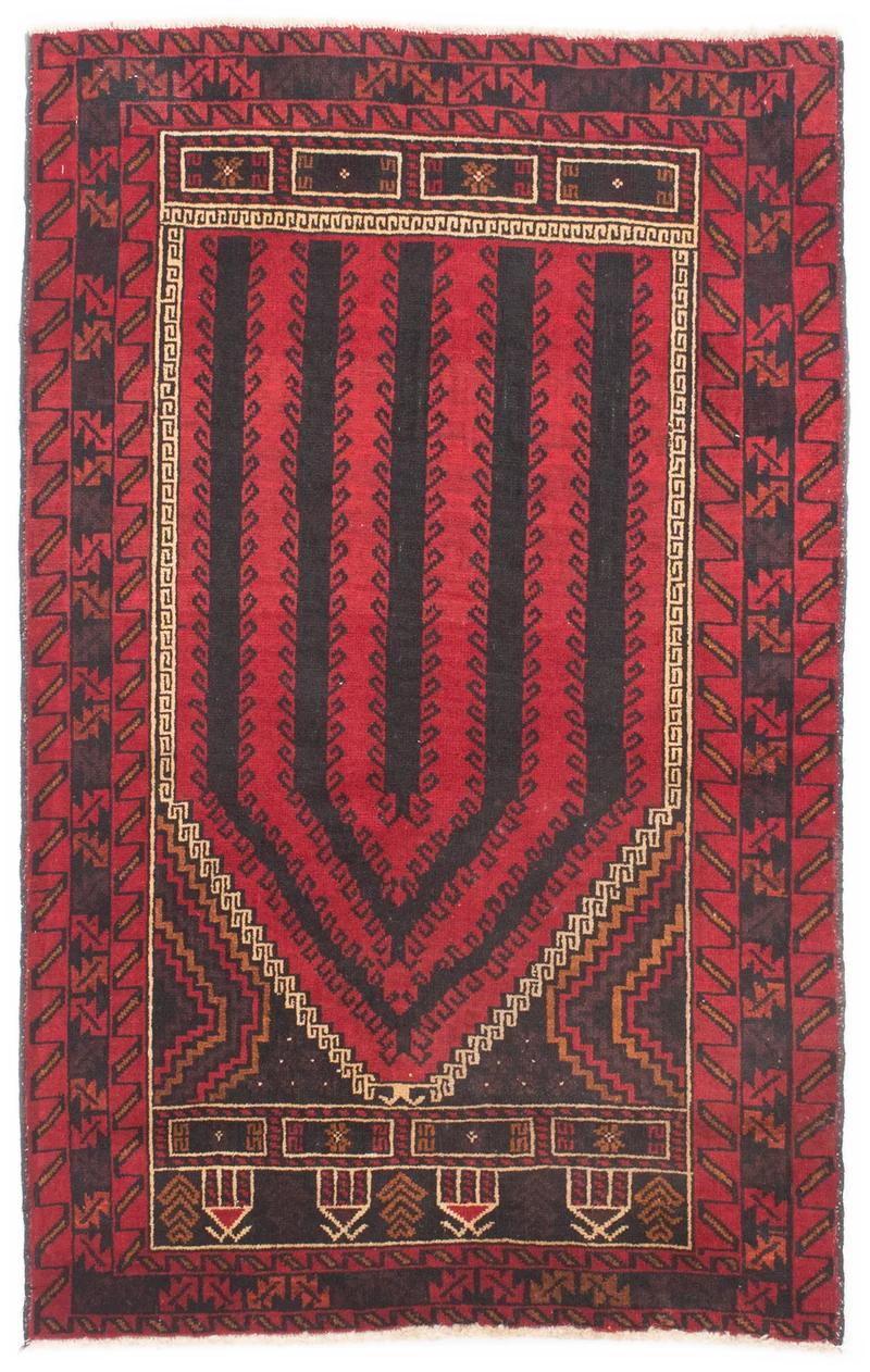 Oriental Belutsch
