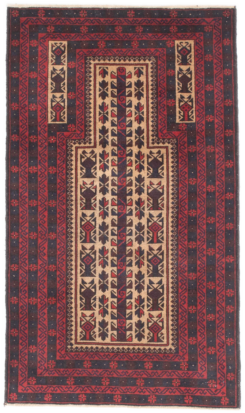 Oriental Belutsch