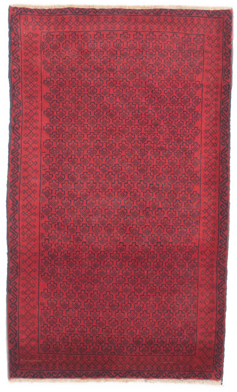 Oriental Belutsch