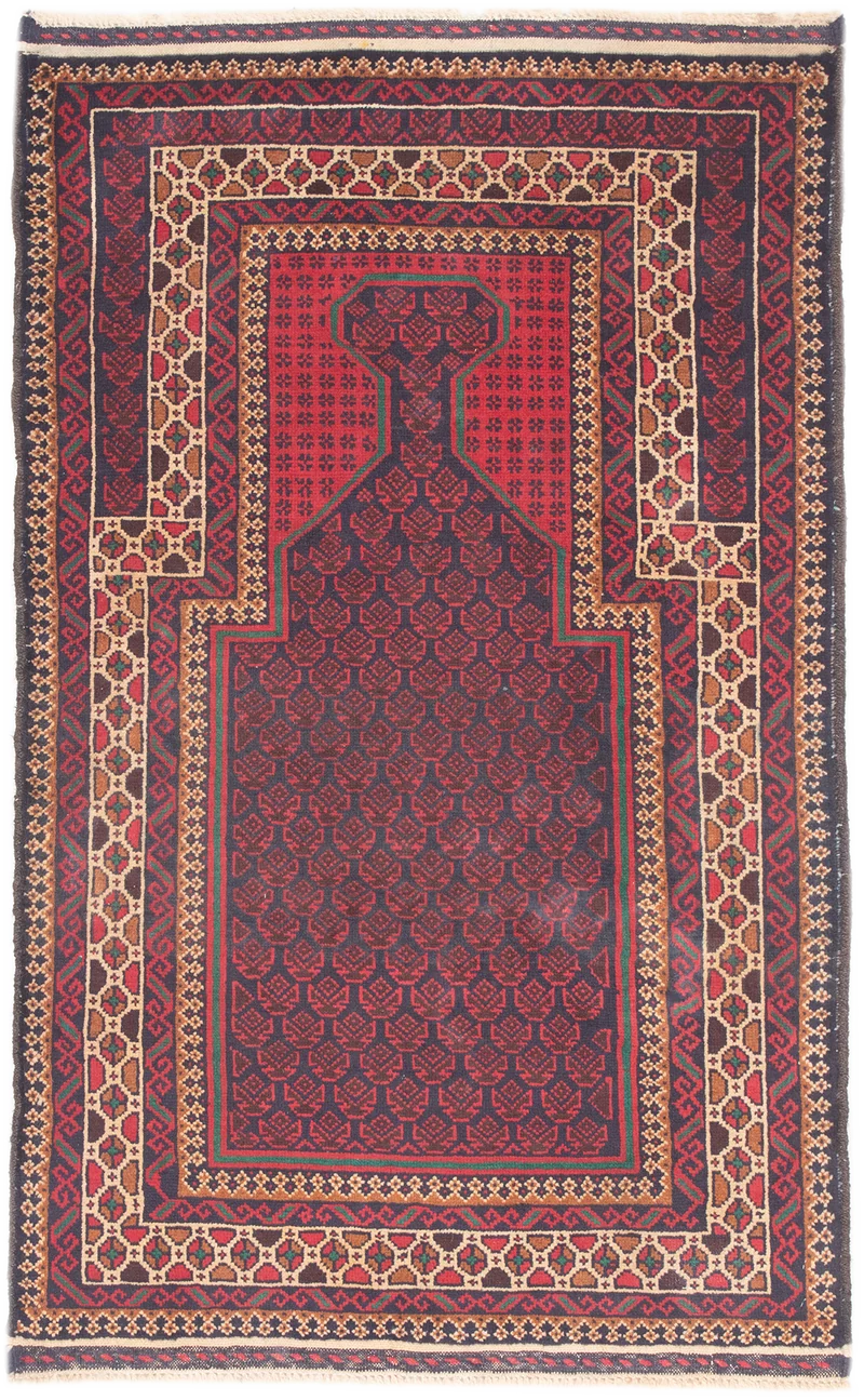 Oriental Belutsch