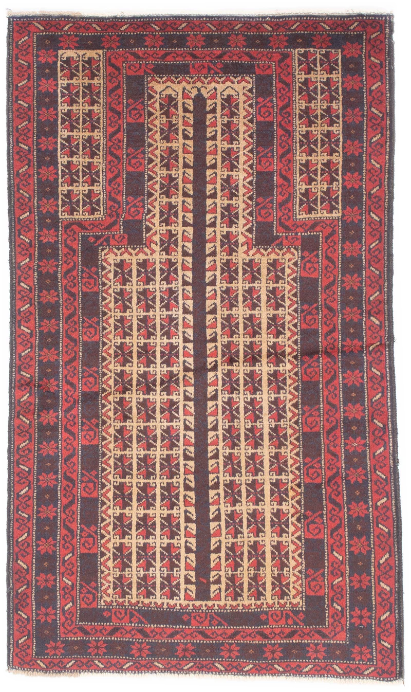 Oriental Belutsch