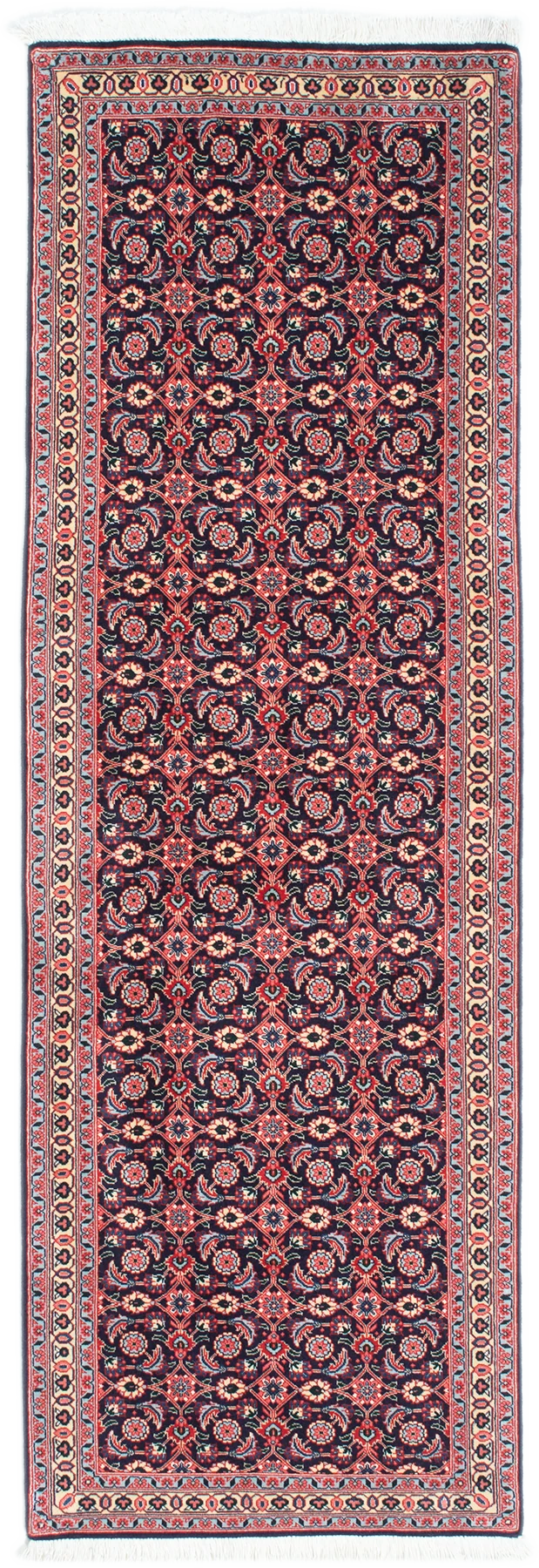Oriental Taebris