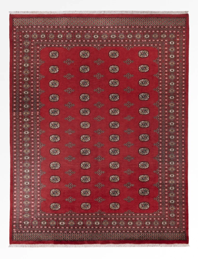 Pakistan Teppich 251x331cm - Orientteppich