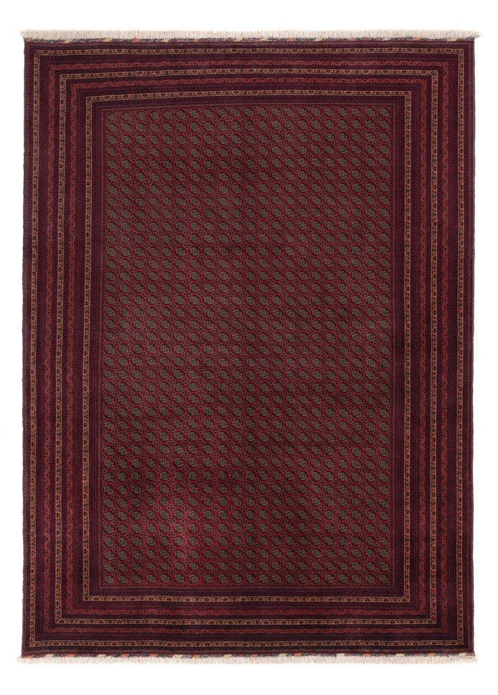 Afghan Teppich 206x295cm - Orientteppich