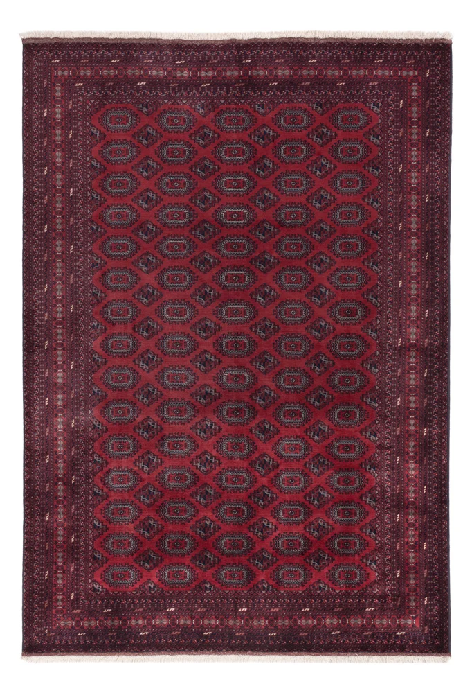 Afghan Teppich 200x296cm - Orientteppich