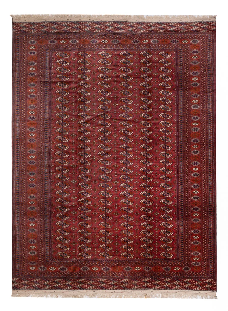 Afghan Teppich - Buchara - 340 x 450 cm - rot