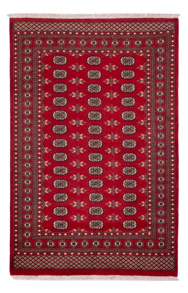 Pakistan Teppich 179x258cm - Orientteppich