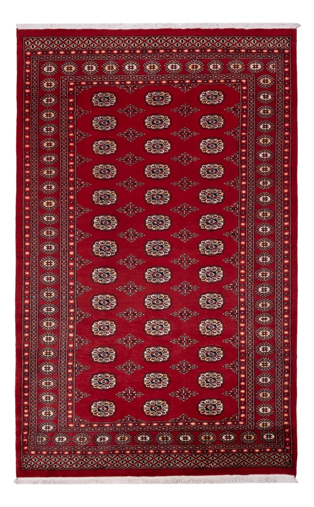 Pakistan Teppich 167x266cm - Orientteppich