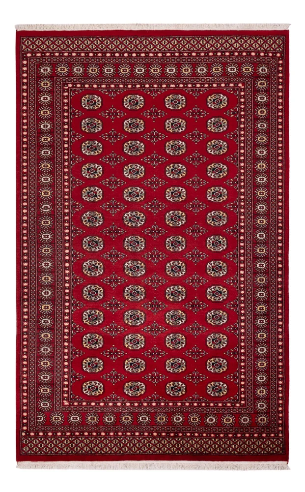 Pakistan Teppich 167x256cm - Orientteppich