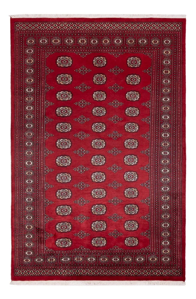 Pakistan Teppich 167x249cm - Orientteppich