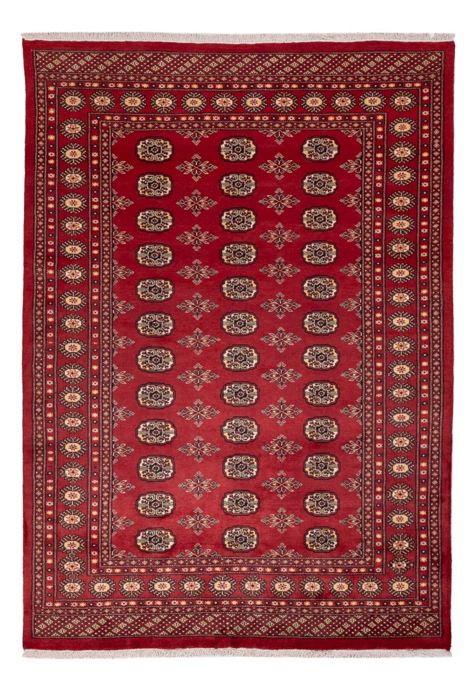 Pakistan Teppich 170x245cm - Orientteppich