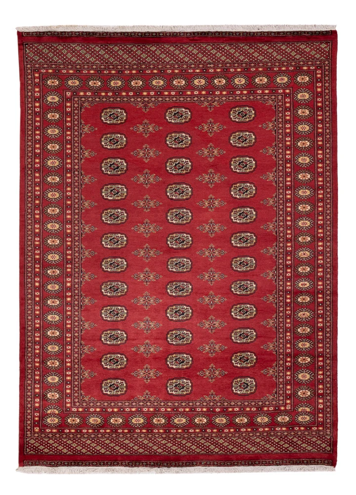 Pakistan Teppich 173x241cm - Orientteppich