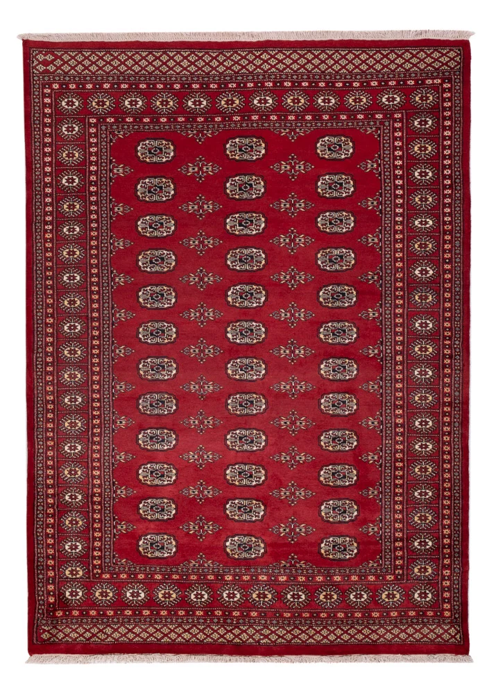 Pakistan Teppich 171x240cm - Orientteppich