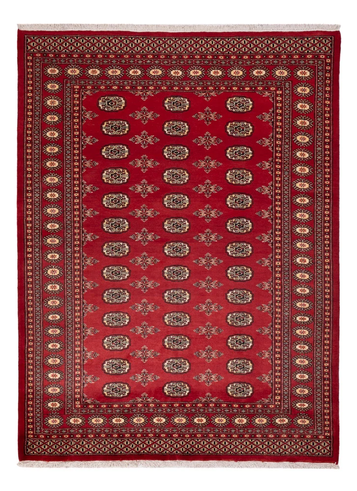 Pakistan Teppich 174x233cm - Orientteppich