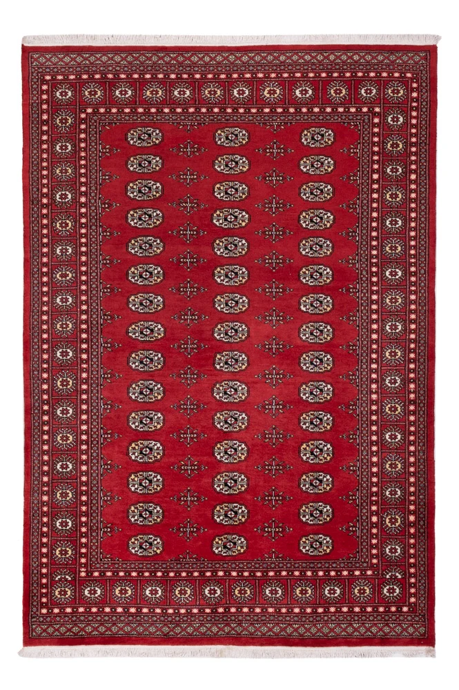 Pakistan Teppich - 168 x 243 cm - rot